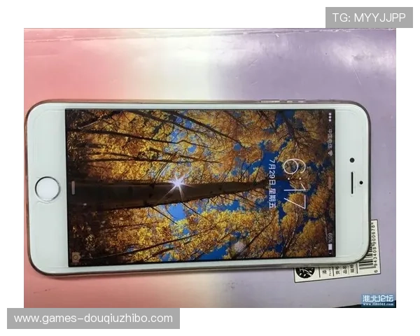 如何快速找到斗球苹果iOS下载链接以及安装步骤详解